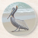 Search for pelican gifts Shore
