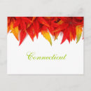 Search for connecticut postcards Autumn