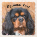 Search for cavalier king charles spaniel dog coasters Pet
