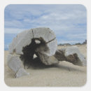 Search for pacific beach stickers West coast