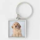 Search for old camera key rings Looking at camera