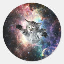 Search for cats in space stickers Cute cat