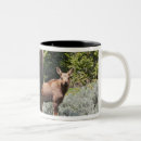 Search for ditto mugs Mammal
