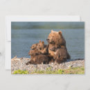 Search for baby cub cards Cute