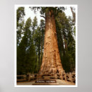Search for generous art Photograph