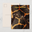Search for giraffe pattern cards Giraffes