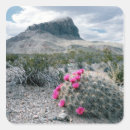 Search for big bend stickers Scenic