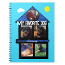 Search for 5 notebooks Create your own