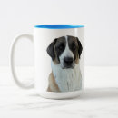 Search for anatolian mugs Anatolian shepherd dog