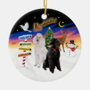 Search for standard poodle christmas tree decorations Pets