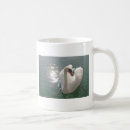 Search for light reflection Swan