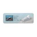 Search for gulls return address labels Seagull