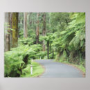 Search for tranquil scene posters Environment