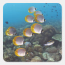 Search for fish image stickers Vertical