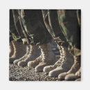 Search for corps magnets Army