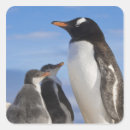 Search for habitat stickers Ocean