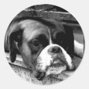 Search for black and white photography stickers Monochrome