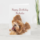 Search for pet name cards Fun