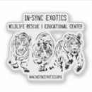 Search for tiger cubs stickers Cat