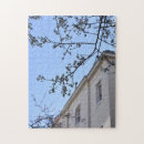Search for cherry blossom puzzles Nature photography