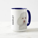 Search for teacup poodle mugs Dog breed