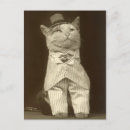 Search for vintage cat postcards Weird