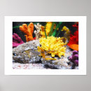 Search for seahorse art Fish
