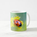 Search for pollenating insects mugs Nature