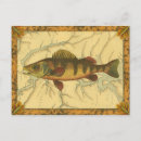 Search for sporting horizontal postcards Fish