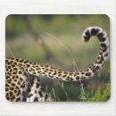 Search for african animals mousepads Horizontal