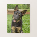 Search for german shepherd puzzles Dog