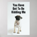 Search for pug picture posters Puppy