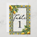 Search for greece table cards Italian