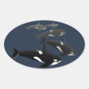 Search for the killers stickers Black and white