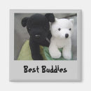 Search for buddy magnets Friend