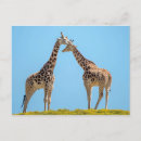 Search for romantic couples postcards Kiss