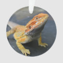 Search for bearded dragon home decor Cute