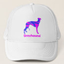 Search for greyhound hats Puppy