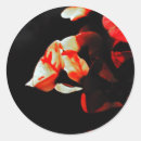 Search for cactus flower stickers Orange