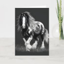 Search for cob cards Horse