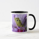 Search for mossy mugs Frog
