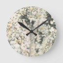 Search for coral clocks Reef