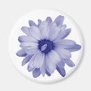 Search for twist magnets Blue