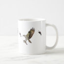 Search for red wing mugs Nature