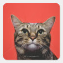 Search for japanese cat stickers Feline