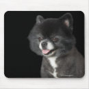 Search for black haired mousepads Dog