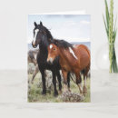 Search for larry ditto cards Wild horse