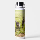 Search for bird foot drinkware Wildlife