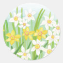 Search for spring daffodil stickers Easter