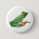 Search for rainforest frog badges Amphibian